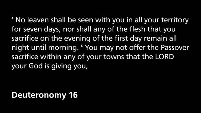 February 27th– Deuteronomy 15-16; Psalm 58 смотреть онлайн