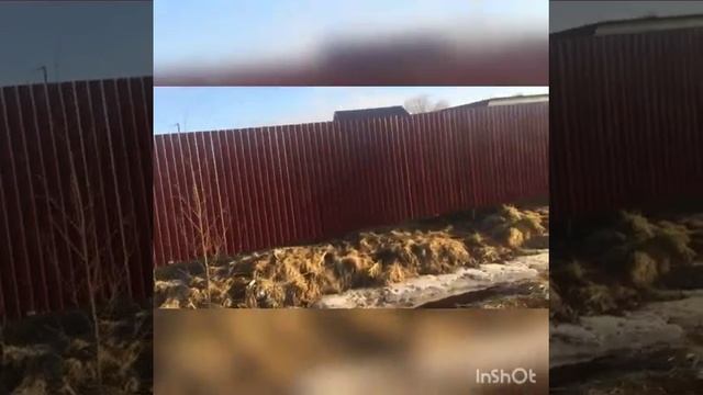 Забор из профнастила под ключ! смотреть онлайн