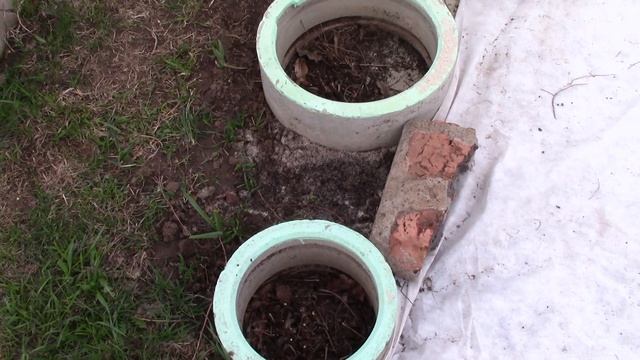 Посадка томатов в теплице смотреть онлайн