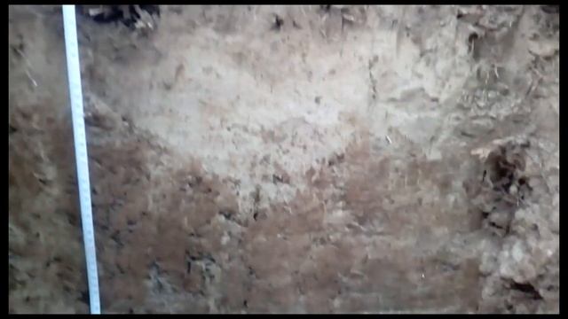 Видео к учебной практике 20.07.2020 по теме: 