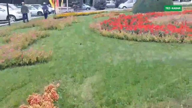 Ош КҮЗҮНДӨ да ЖАПЖАШЫЛ смотреть онлайн