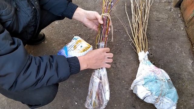 АМОРФА - очень нужный медонос на пасеке.ПОЧЕМУ?Посылка от Александра Вороненко(12.03.2020г.) смотреть онлайн