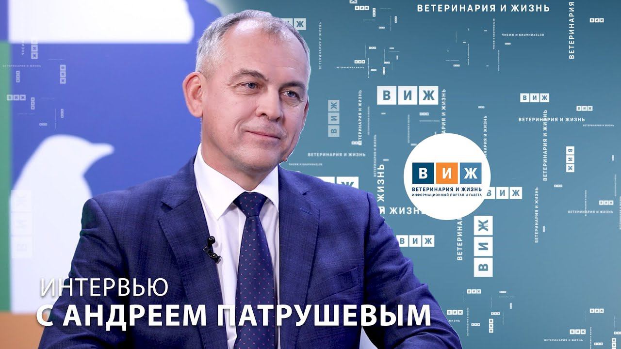 Интервью с Андреем Патрушевым смотреть онлайн