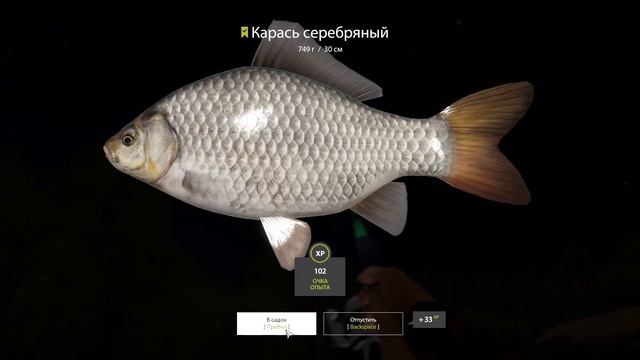 Русская рыбалка 4 - р.Вьюнок , карась, просто на любую наживку смотреть онлайн