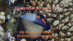 Приятные встречи 25 Корис клоун под душевную музыку Dr.Arnd Stein (1)