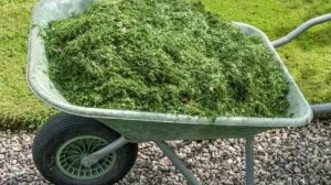 Куда девать скошенную траву с газона и сорняки с огорода детальна інформація в описах