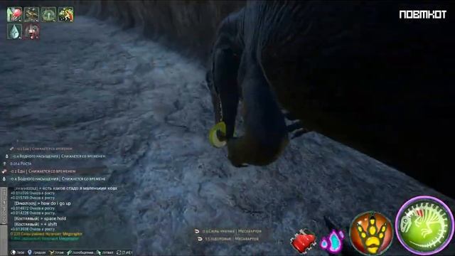 Попали в Бэкрумс...?! смотреть онлайн