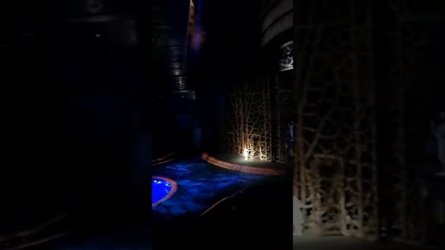 La Perle by dragone DXB?обзор акрабатического цирка ла перл дубай) смотреть онлайн
