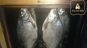 -Лещ-холодного-копчения-Как-коптить-лещя_219.mp4