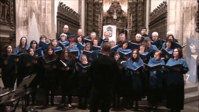 Coral CARDES - Ameno смотреть онлайн