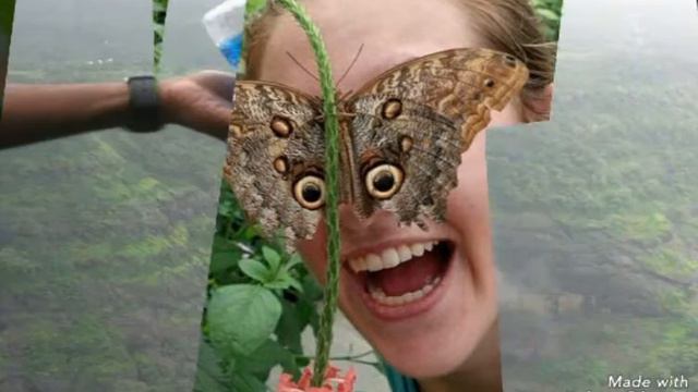 Топ 10фотографий сделаных в нужный момент смотреть онлайн