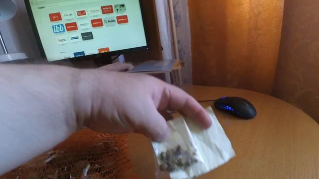 мини клубни картофель Синеглазка смотреть онлайн