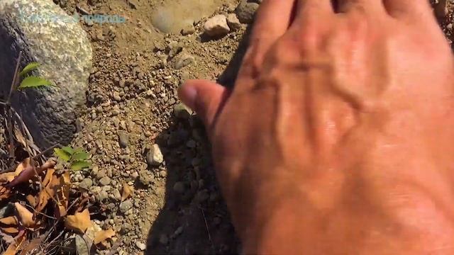 Красивый камень красный родонит и самородки смотреть онлайн