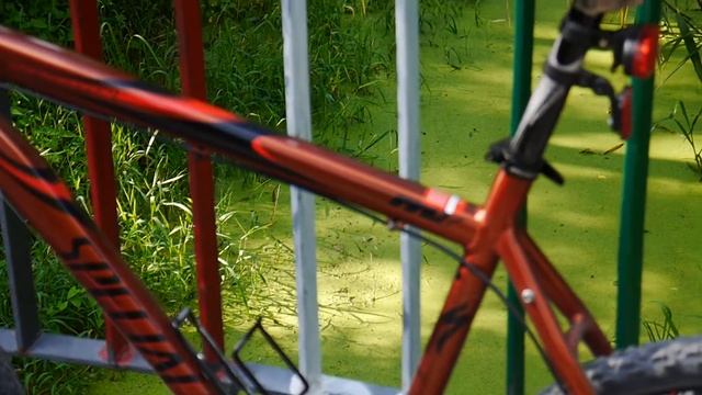 Panasonic Lumix G5 Video Test смотреть онлайн