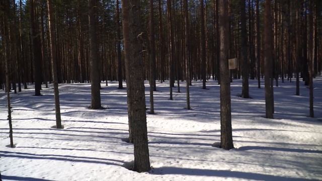 Тест камеры Olympus AF-10 mini смотреть онлайн