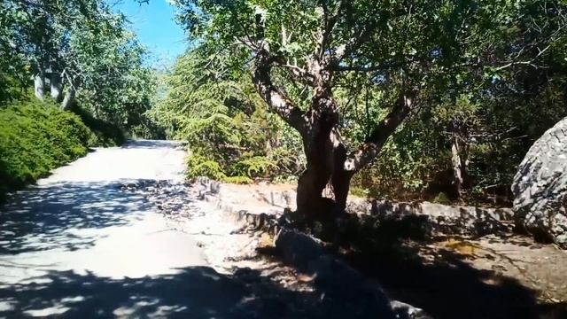 СМАРТФОН-ЧПОКАЛЬЩИК, о котором НИКТО не ЗНАЕТ смотреть онлайн