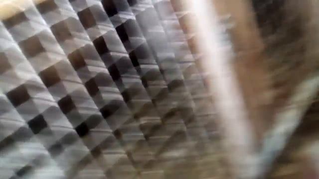 Видео на канал лпх сельская жизнь смотреть онлайн