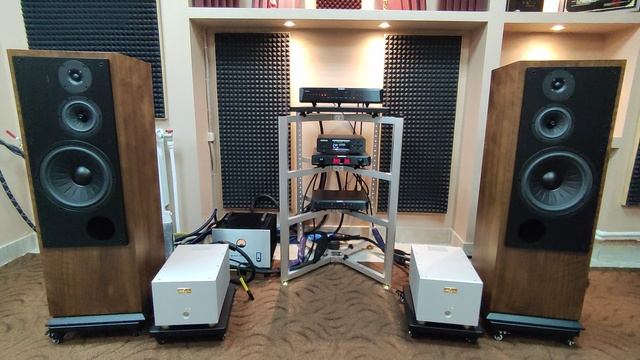 Musician Taurus R2R DAC + Musician MDP-2 Digital Player + Musician Monoceros Preamp + Goldmund Telos