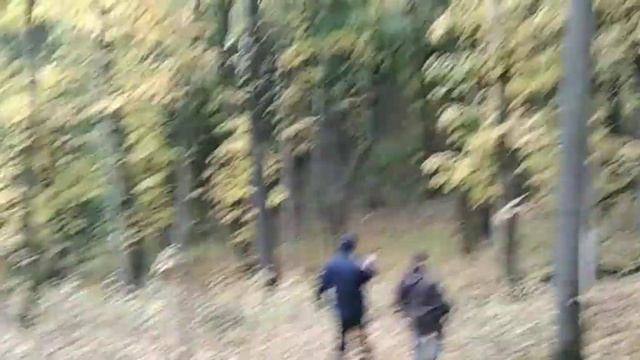 Работа в лесу, копаем берёзы ? смотреть онлайн