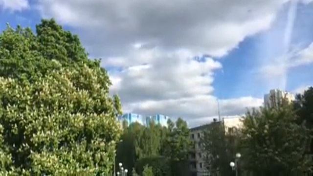 Цветущие каштаны. смотреть онлайн