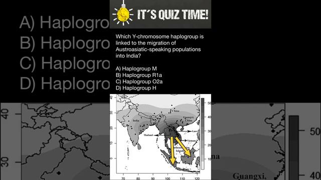 Which haplogroup is linked to the migration of Austroasiatic-speaking populations into India? смотреть онлайн