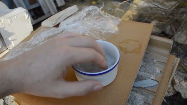 Как правильно проращивать семена Бонсай? Growing Bonsai From Seed!