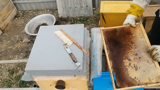 Итог Зимовки на трёх рамках с изоляцией матки.