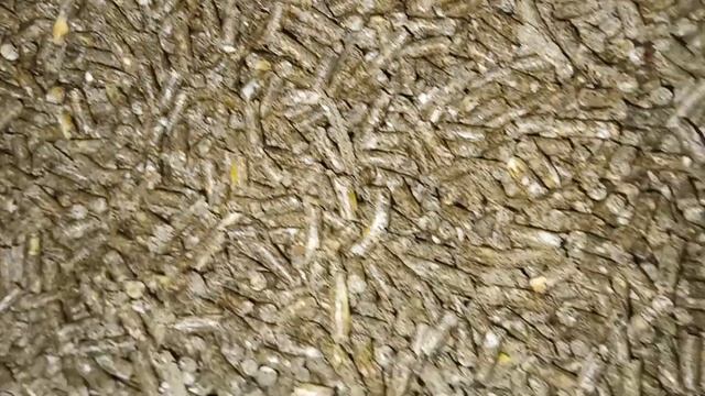 Комбикорм для кладки яиц 