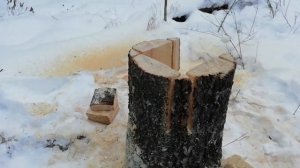 Жизнь в тайге. Как сделать новый солонец