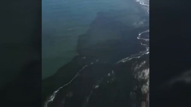 Что случилось на Камчатке? Ядохимикаты, военные или разлив нефти? смотреть онлайн