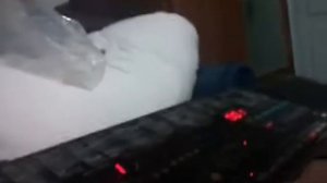 Что мне купили?/Yamaha pss-51