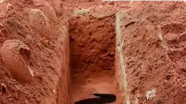 Змея в могиле смотреть онлайн