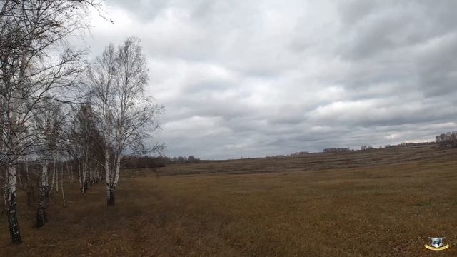 Тетерев-косач добыт!!!......наконец-то!) смотреть онлайн