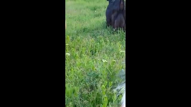 Я её слепила из того, что было... смотреть онлайн