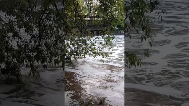 Река сходня вышла из берегов. Тушино 2020. смотреть онлайн