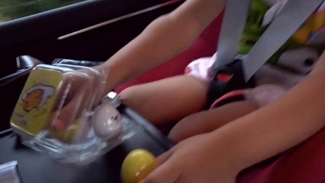 ВЛОГ Едем в Киев Покупаем в Мак Дональдс игрушки Тайная Жизнь Домашних Животных смотреть онлайн