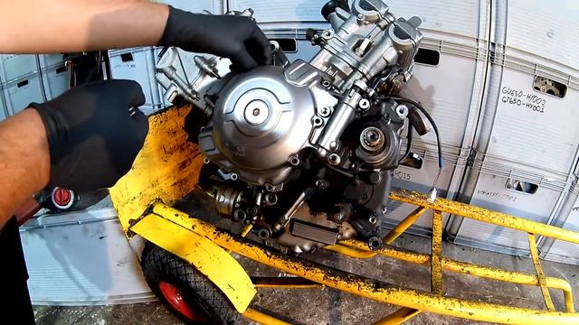SUZUKI SFV 650 GLADIUS - HOW TO REMOVE LEFT SIDE ENGINE COVER