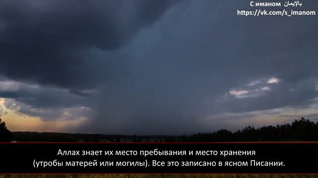 Абу Бакр аш-Шатри Сура 11 "аль-Худ", аяты (1-11) смотреть онлайн