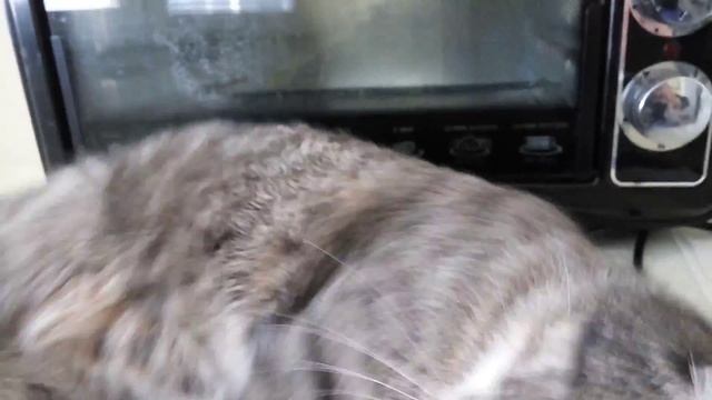 Xiaomi Redmi Note 2, тест камеры