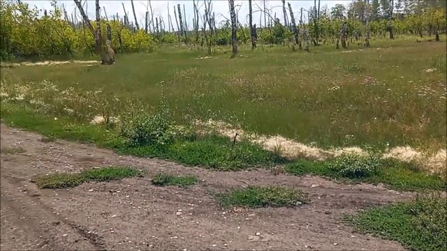 с. Розенталь Москаленский район Омская область. Gebiet Omsk Kreis Moskalensky Rosental. смотреть онлайн