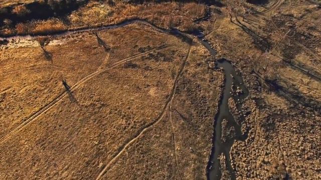 "Горлица голубка" (Е.Комарова-И.Панова) смотреть онлайн