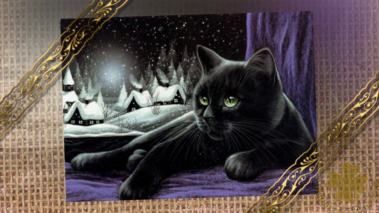 День защиты ЧЕРНЫХ КОТОВ  Прикольное поздравление [17 ноября]