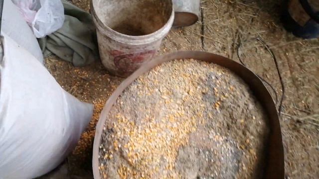 Строительная Мозаика