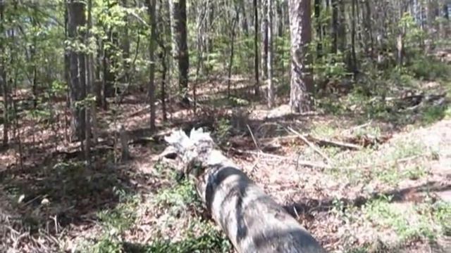 Psalm 73:23-26 смотреть онлайн