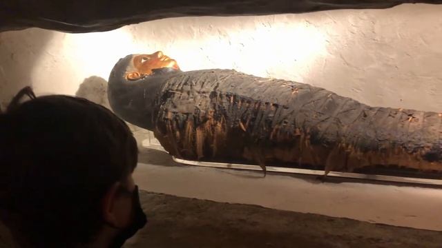 Top 10 "MUST SEE" at the FIELD MUSEUM! - Chicago's Field Museum's best exhibits. смотреть онлайн