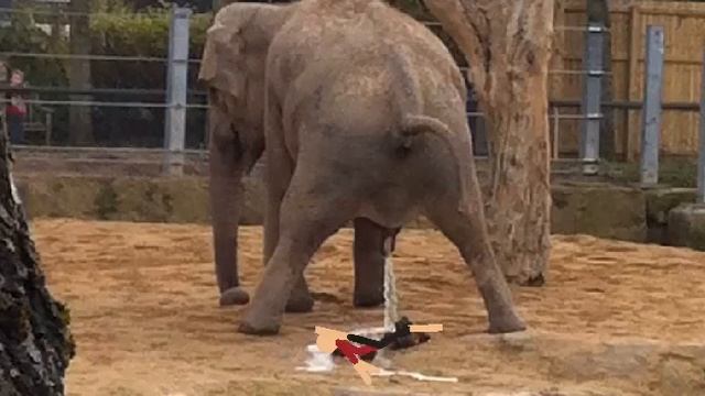 Sticknodes 18 смотреть онлайн