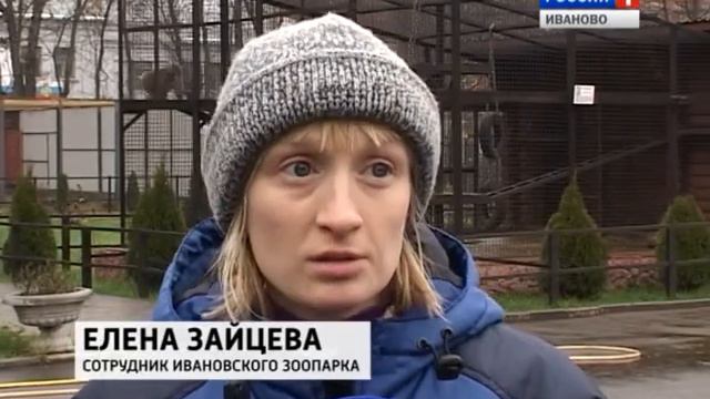 зоопарк сюжет смотреть онлайн