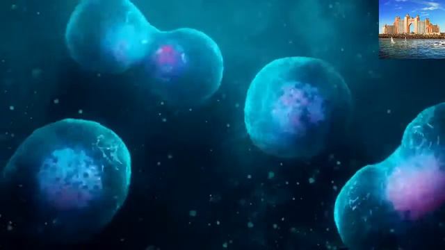 Действительно ли земле МИЛЛИАРДЫ ЛЕТ как нам рассказывают? подробно смотреть онлайн