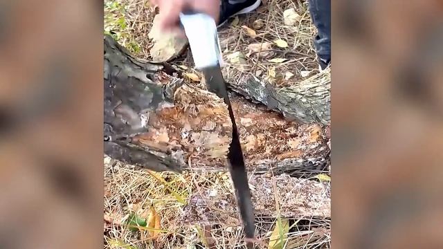 ОТЛИЧНЫЙ, НУЖНЫЙ ИНСТРУМЕНТ! ДЛЯ ДОМА И ДАЧИ! И СТОИТ НЕДОРОГО! смотреть онлайн